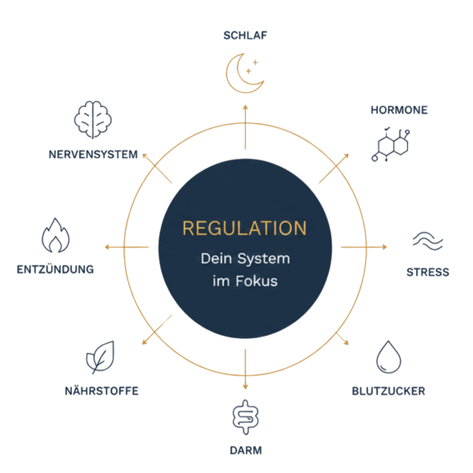 Regulationskompass: In der Mitte Regulation — Dein System im Fokus, darum acht Bereiche: Schlaf, Hormone, Stress, Blutzucker, Darm, Nährstoffe, Entzündung und Nervensystem.